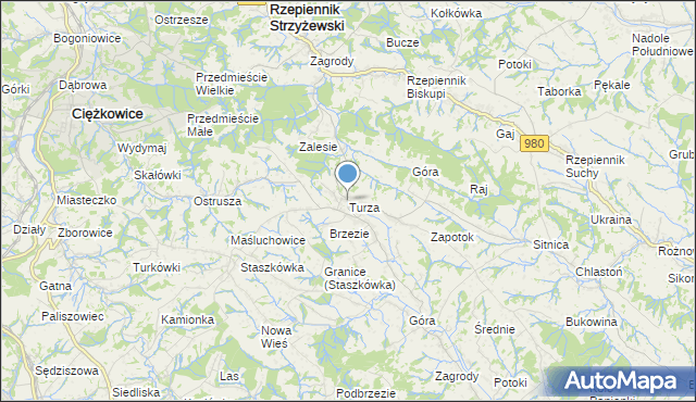 mapa Turza, Turza gmina Rzepiennik Strzyżewski na mapie Targeo